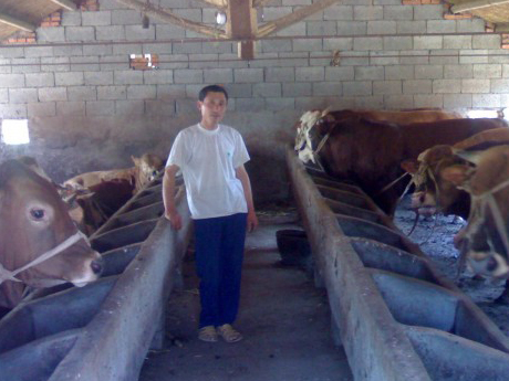 諸城肉牛養殖場李經理